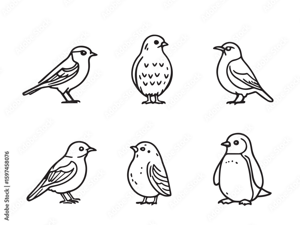 Fototapeta premium bird vector line drawing