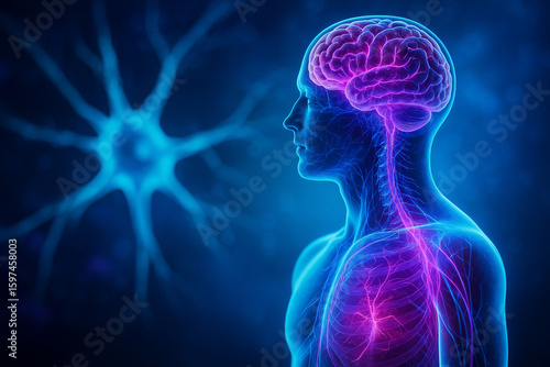 AI generated digital illustration showing the human nervous system and brain in side profile with glowing neurons on a blue abstract background