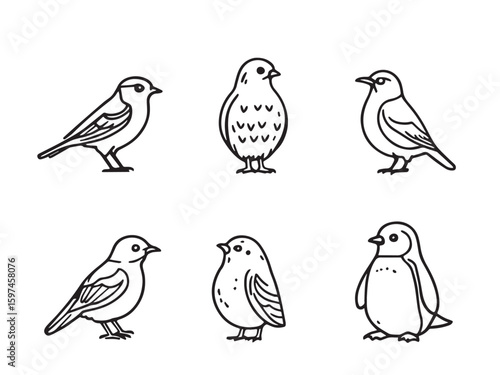 Wallpaper Mural bird vector line drawing Torontodigital.ca