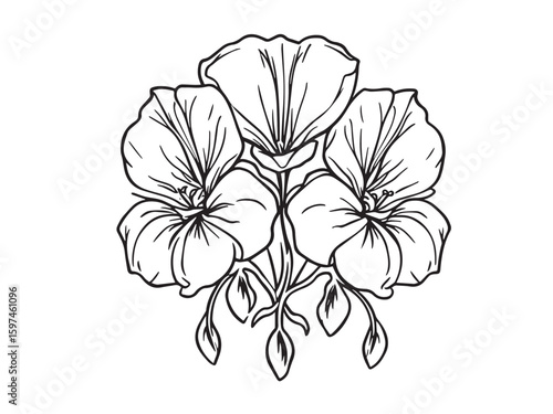 bleeding heart flower line art