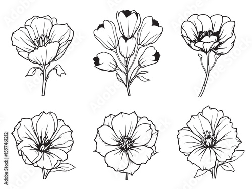 bleeding heart vector sketch