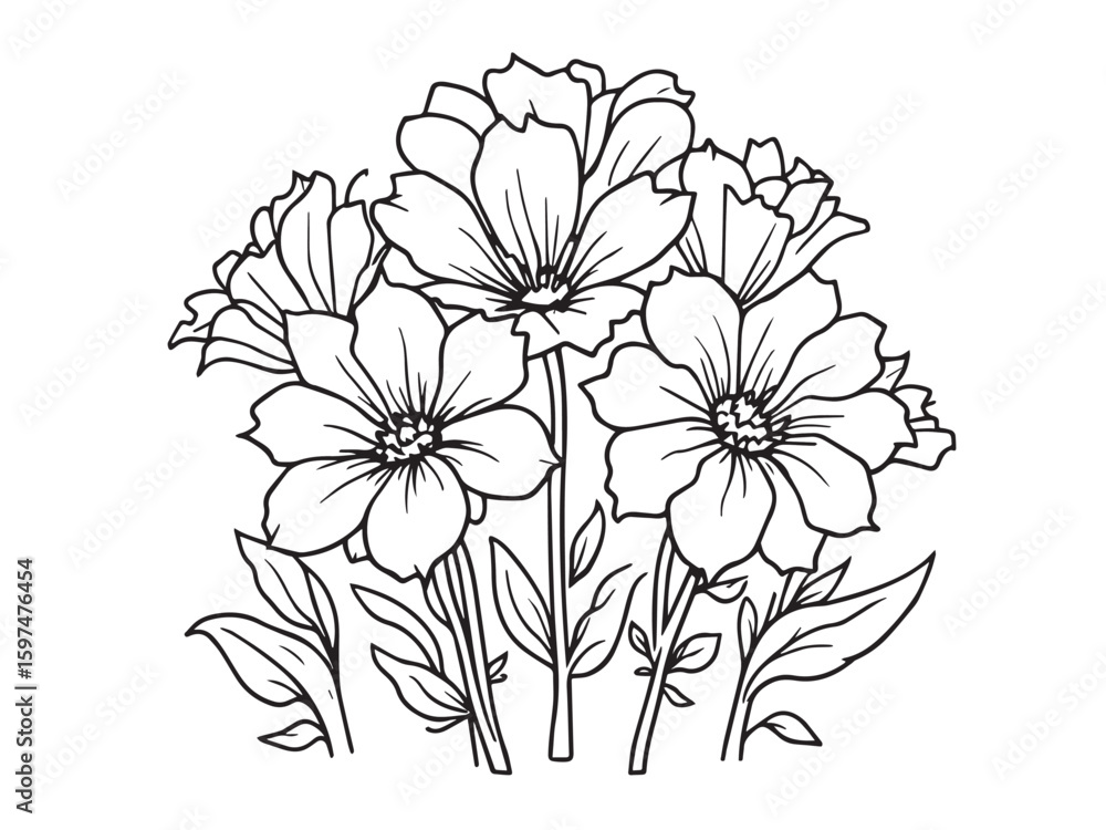 Obraz premium canterbury bells sketch drawing