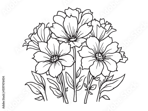 canterbury bells sketch drawing