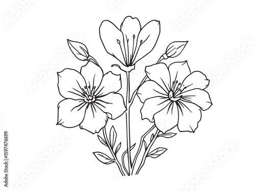 canterbury bells vector art