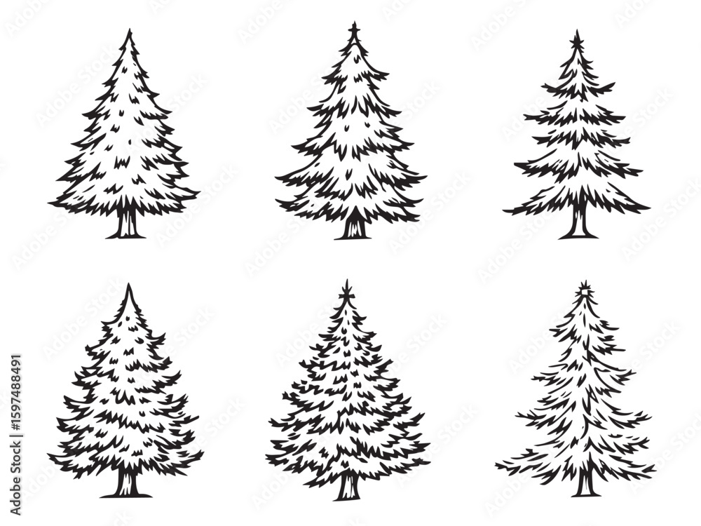 Obraz premium christmas fir tree line art