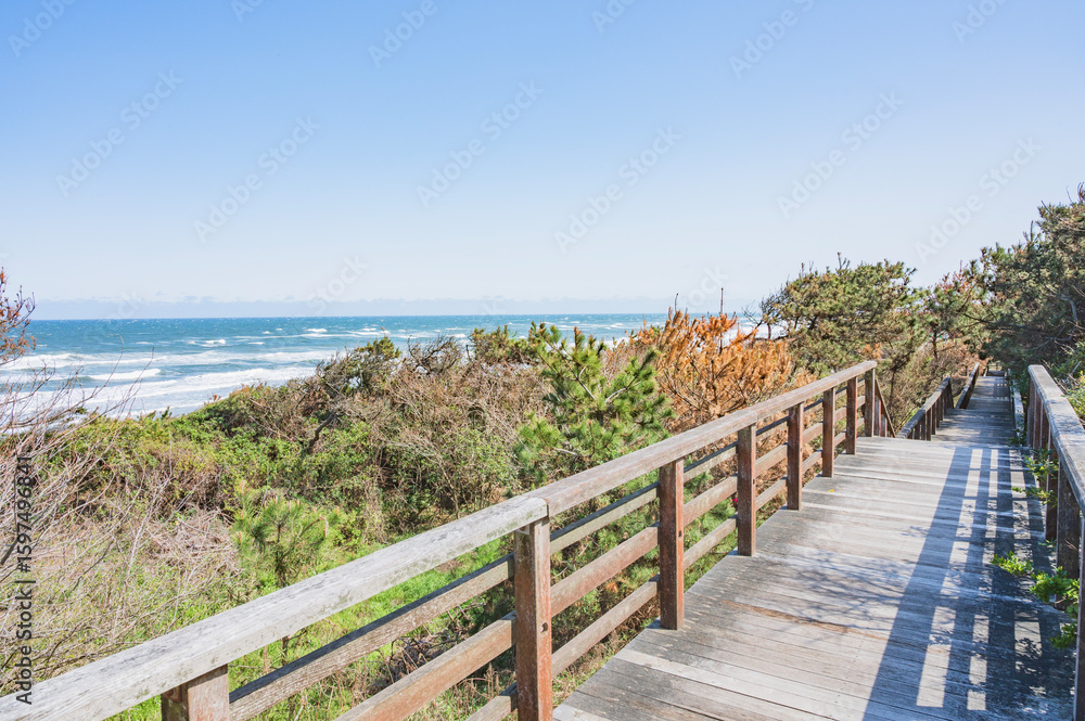 Obraz premium 茨城 大竹海岸（鉾田市）