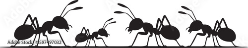 Ants communicate on a path in silhouette, emphasizing teamwork and collaboration in nature