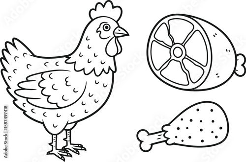 Doodle style chicken with leg and meat cut, black and white line art