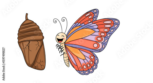 Butterfly Transformation Cartoon