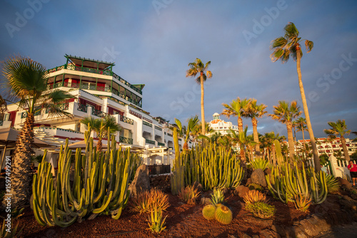 Playas de los americas, Tenerife, spain, canary islands 