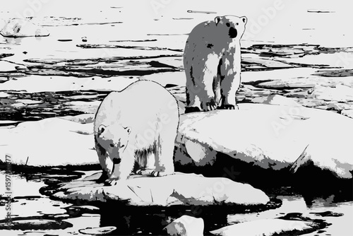 Polar bears on an ice floe depicted in a black and white sketch, arctic mammals explore icy habitat. Polar bears sketch shows wildlife in simple lines, highlighting their natural environment.