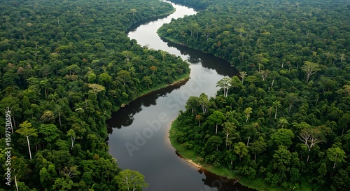 Aerial view of a winding river flowing through a dense, lush green rainforest canopy. The river curves through the landscape, reflecting the sky.