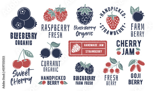 Berry logos. Large set of berry-themed minimal logos. Example: Blueberry, Raspberry, Strawberry, Cherry, Blackberry icon. Design signs for jam label, food branding. Vector illustration.