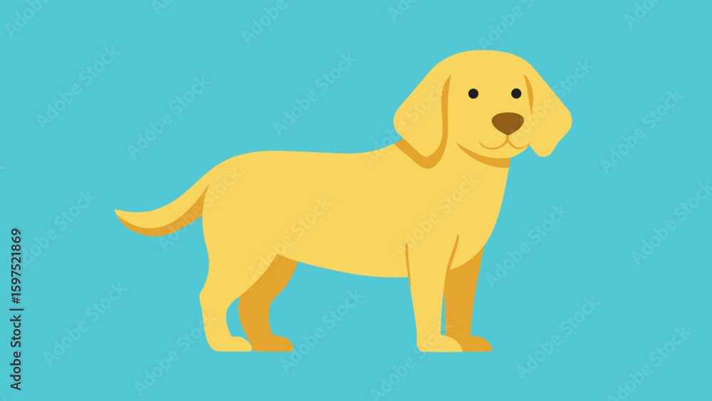 Adorable yellow labrador retriever dog standing against a turquoise blue background Adorable yellow labrador retriever dog standing against a turquoise blue background