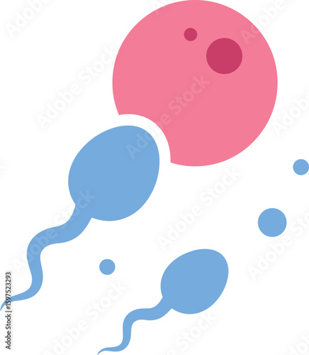 Sperm fertilizing egg conception ivf reproduction