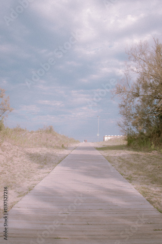 Italian beach vegetation