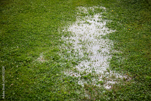 Flooded Lawn After Rainfall Showing Water Saturation and Drainage Problem on Grass Surface