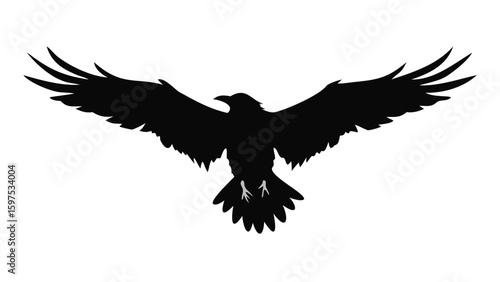 flying bird silhouette with open wings isolated on white background
