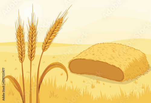 Wheat stalks and haystack in golden field under sunny sky  
