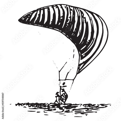 Adventurous Kite Surfing Illustration - Ocean Aerial Art