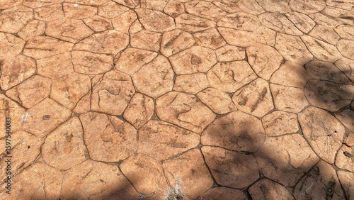 Close-up of a decorative floor made from simulated large tiles or stamped concrete, showcasing variations in color and shape, with subtle shadows.