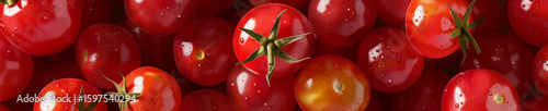 fresh cherry tomatoes with green stems. Generative ai vector illustration. Wide banner illustration