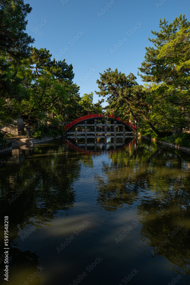 Obraz premium 日本、大阪、住吉大社、神社、青空、木、緑、夏、木造の建物、鳥居、橋、写真素材