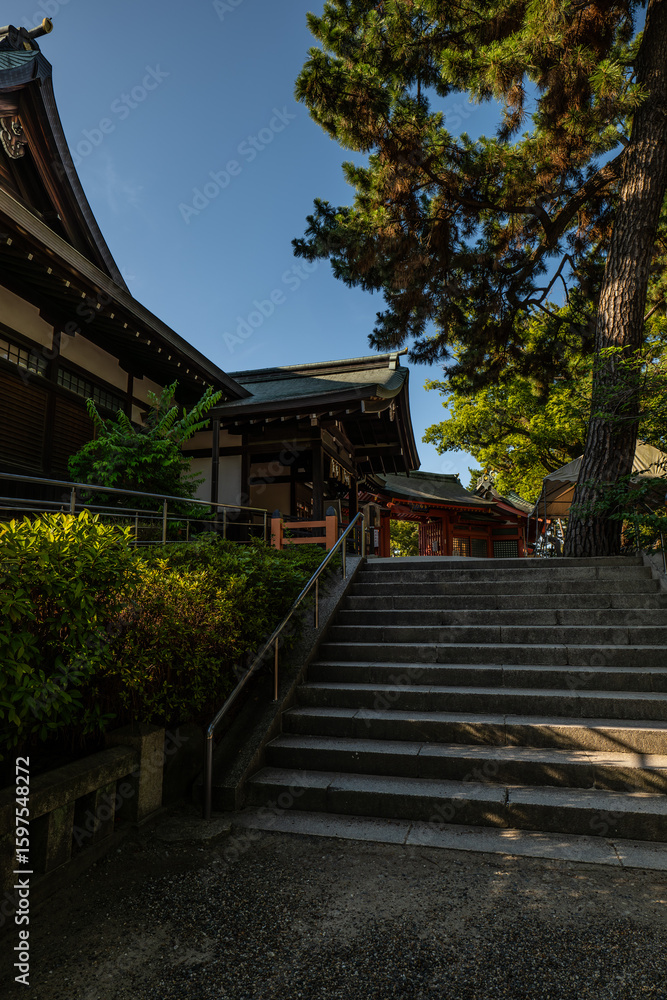 Fototapeta premium 日本、大阪、住吉大社、神社、青空、木、緑、夏、木造の建物、鳥居、橋、写真素材