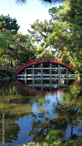 日本、大阪、住吉大社、神社、青空、木、緑、夏、木造の建物、鳥居、橋、写真素材