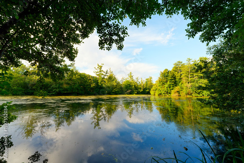The  basses Godernes Sensitive Natural Area along the Seine river in Île-de-France Region
