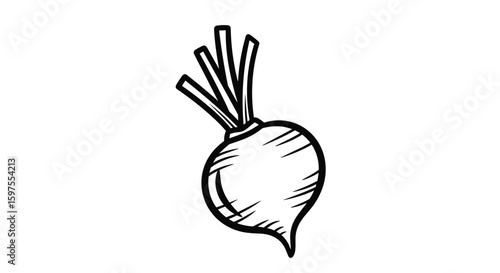Beetroot healthy root vegetable freshly harvested with green stalks ready for consumption