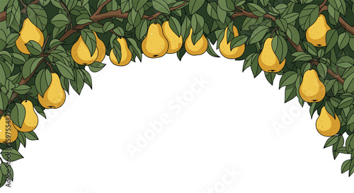 Golden pears hang on lush green tree branches forming a beautiful archway