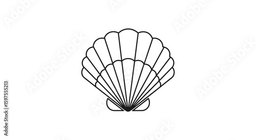 A detailed line art representation of an open scallop shell revealing its interior texture and pleats