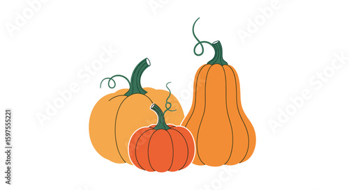 Autumn harvest assortment of gourds celebrating the season's bounty