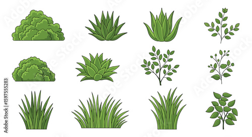 Collection of greenery and garden plants for decorative purposes