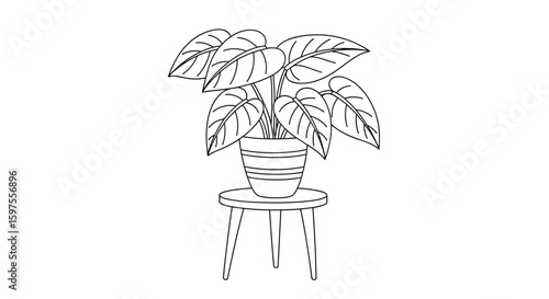 Houseplant growing in a pot on a small stool with delicate leafy green foliage