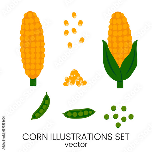 2025-06-27-vegetables-12.eps