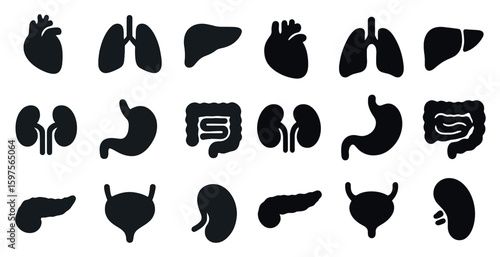 Human organs silhouette icons set – solid, filled, medical and anatomy symbols