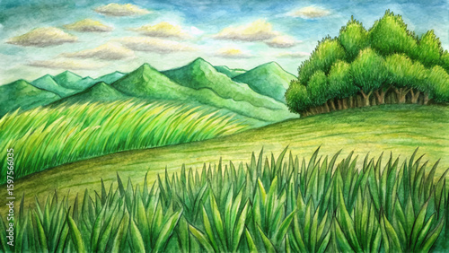 Vector sketch of green grass field on small rolling hills. Scenic rural countryside, meadows, pastures, grassland, farm field landscape. Peaceful nature panorama illustration design