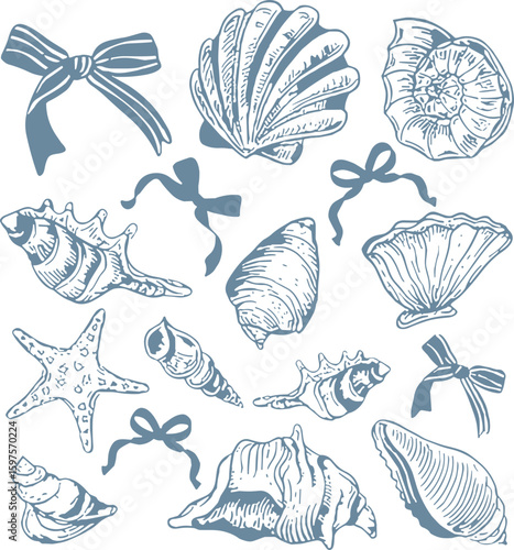 Coquette Seashell svg, Vintage Summer Vibes svg