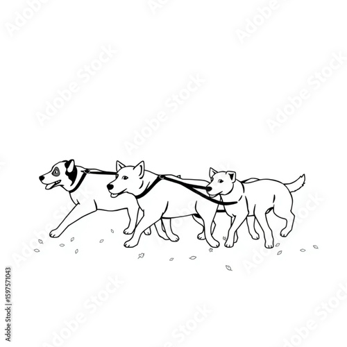 A dog walker shepherding a pack through autumn leaves
