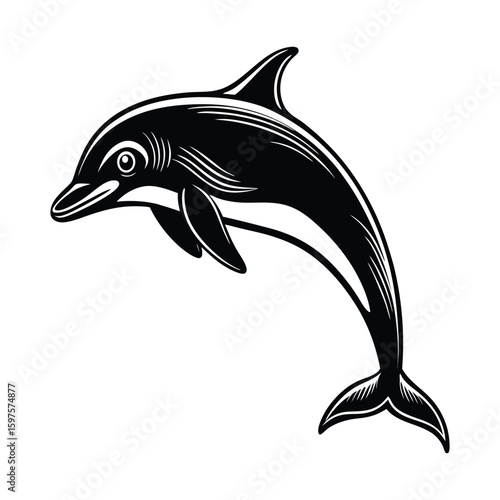Silhouette of a dolphin isolated on a white background, some words describing this image