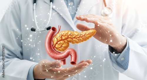 Doctor Protecting Pancreas: Digital Health Innovation for Pancreatic Care, Medical Illustration, Healthcare Technology Illustration