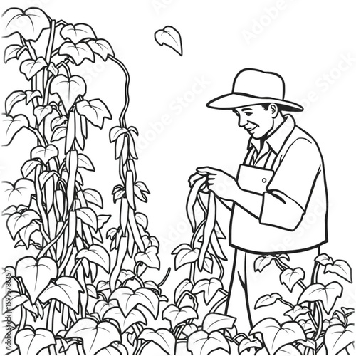 A gardener picking beans from a tangle of vines
