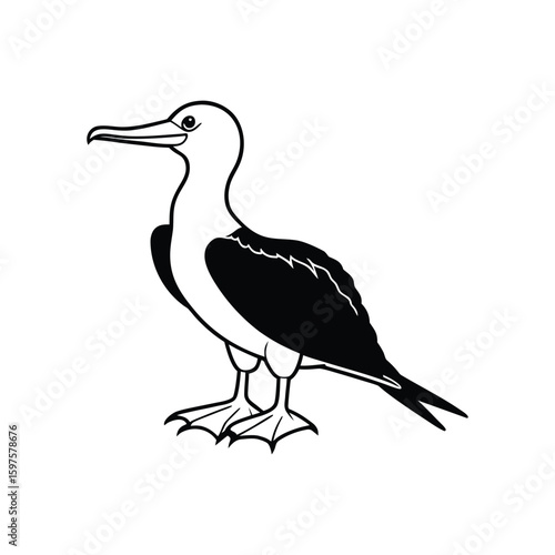 a frigatebird bird line art silhouette vector illustration on white background
