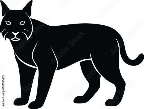 Bobcat Silhouette Vector Art Illustration