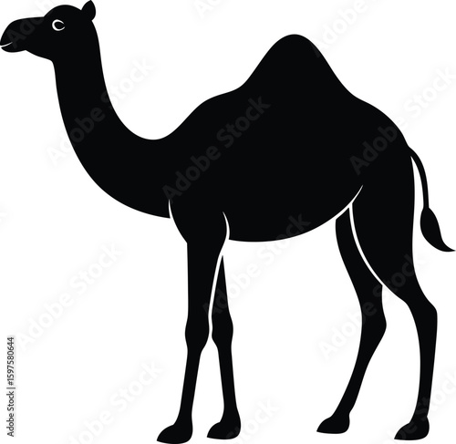 Camel Silhouette Vector Art Illustration
