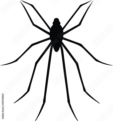 Daddy Longlegs Silhouette Vector Art Illustration