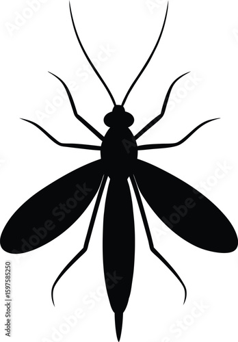 Mayfly flying insect silhouette vector art illustration