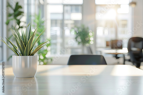 日差しが差し込むナチュラルなオフィスと観葉植物